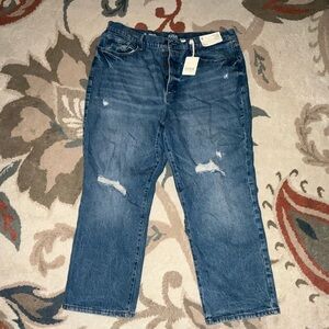 Plus Size 18 a.n.a Highest Rise Vintage Straight Crop Jeans – New With Tags